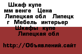 Шкаф-купе 1200*600*2282 мм венге › Цена ­ 10 670 - Липецкая обл., Липецк г. Мебель, интерьер » Шкафы, купе   . Липецкая обл.